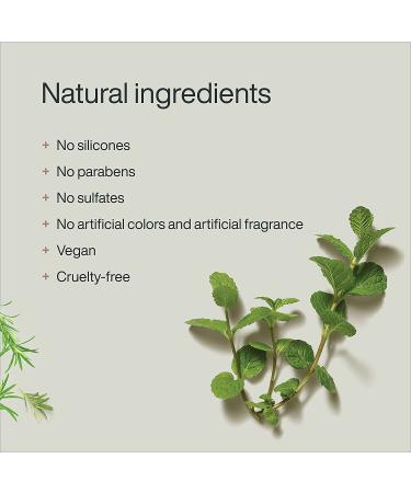 GOOD&ALL Tea Tree Oil Shampoo - Itch Relief for Dry Scalp & Oily Hair - Sulfate & Paraben Free - Vegan & Natural Formula - Anti Dandruff - Color Safe - 8.5 fl oz - Buy Online on GoSupps.com