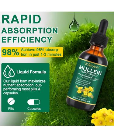 2x Extrait de Feuilles de Mol ne Gouttes de mullein pour poumons mullein leaf extract naturelles gouttes de mol ne avec chlorophylle pour poumons nettoyage absorption rapide 60 ml 60 ml (Lot de 2) - Buy Online on GoSupps.com