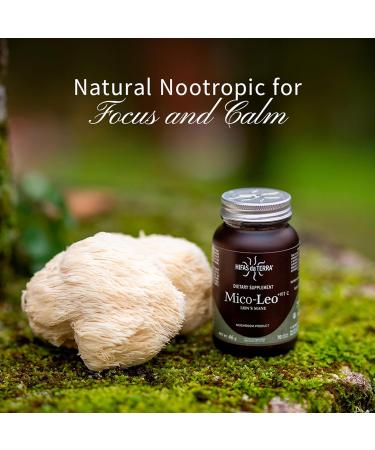 Hifas de Terra Mico-Leo - Organic Lions Mane Supplement Capsules Lion's Mane Mushroom Extract Nootropic for Brain Focus and Memory for Adults - 70 Vegan Capsules - Buy Online on GoSupps.com