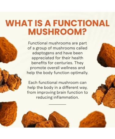 Charlotte's Web Muscle Restore Mushroom Gummies for Adults Chaga & Tart Cherry Supplement for Muscle Recovery and Fatigue Vegan Kosher Non-GMO (Dark Cherry Flavor 30 Servings) - Buy Online on GoSupps.com