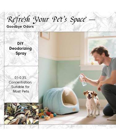 HIQILI 30ML Bergamot Essential Oil & 30ML Sea Salt Sage Fragrance Oil for DIY Diffuser - Buy Online on GoSupps.com