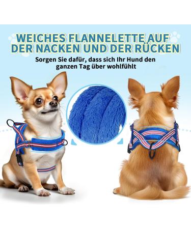 Eyein No-Pull Dog Harness with Leash - Adjustable Reflective Padded for Puppies Small & Large Dogs Cats - Dark Blue XS - Buy Online on GoSupps.com