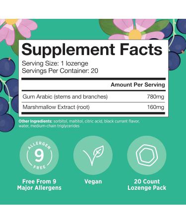 Matys Kids Belly Soother Lozenges for Ages 6 Years Old + Yummy Black Currant Flavor Stomach Ache Relief for Childrens Upset Tummy & Digestive Comfort Sugar Free Vegan Dye Free 20 Count - Buy Online on GoSupps.com