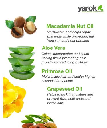 Yarok Feed Your Volume Shampoo - Vegan Sulfate-Free Volumizing Cleanse with Aloe Vera & Macadamia Oil - 8.5oz - Nourish & Lift Hair - Buy Online on GoSupps.com