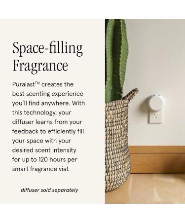 Pura & The Met Egyptian Sandalwood Home Scent Refill - Smart Air Diffuser Fragrance - 120 Hours of Luxury - Clean & Safe Household Essential - Buy Online on GoSupps.com