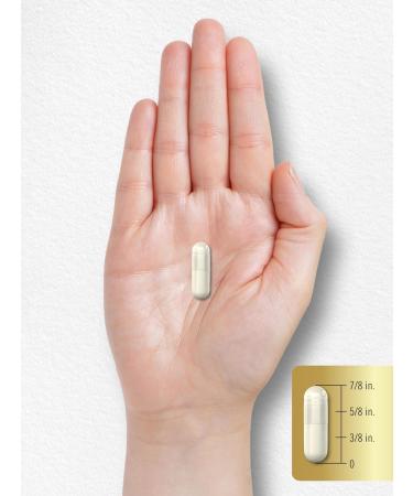 Carlyle Acetyl L-Carnitine HCL Capsules 1000mg - Non-GMO Gluten Free 100 Count | Premium International Shipping - Buy Online on GoSupps.com