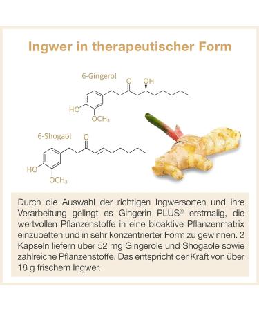 Buy Organic Ginger Capsules - High Dose Ginger Extract with Gingerol & Shogaol - 60 Pharmaceutical Quality Pieces - International Shipping Available - Buy Online on GoSupps.com