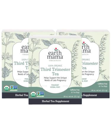 Earth Mama Organic Third Trimester Tea Bags for Pregnancy Comfort and Childbirth Preparation, 16-Count (3-Pack) Mint 16 Count (Pack of 3)
