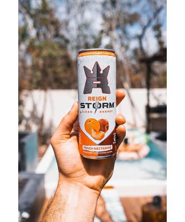 REIGN Storm Peach Nectarine Fitness & Wellness Energy Drink 12 Fl Oz - Pack of 12 - Buy Online on GoSupps.com