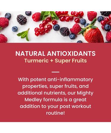 Fruniti Mighty Medley (Antioxidant + SuperFruit) Smoothie Mix - Tumeric  Acai  Goji  Elderberry and Blueberries  Pomegranate  Grape Skin  Apple & Pineapple - Makes Up To 2412 oz. Smoothies Superfruit Smoothie Mix 48 Fl Oz (Pack of 1) - Buy Online on GoSupps.com