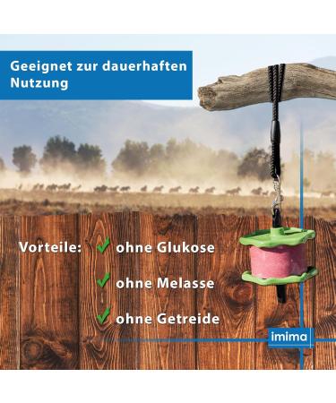 Buy Imima Lolly Lick Set - Banana Lavender Bronchial 1x Holder 2.49 kg | International Shipping Available - Buy Online on GoSupps.com