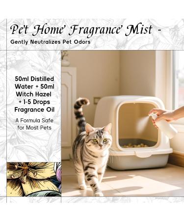 HIQILI English Pear & Freesia Fragrance Oil for Perfume Inspired by J-Malone Candle & Soap Making Sweet Scents for Essential Oil Diffuser Home Spray - 1 Fl Oz Chypre-English Pear & Freesia 1 Fl Oz (Pack of 1) - Buy Online on GoSupps.com