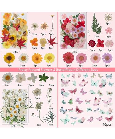 Dried Pressed Flowers for Resin & DIY Crafts - 185 Pcs Natural Dry Flowers with Plastic Case & Butterflies Yellow - Buy Online on GoSupps.com