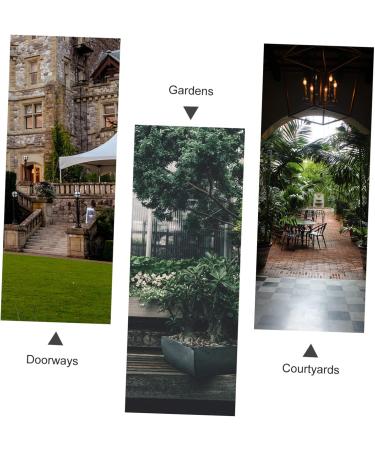 1pc Solar Ornament Garden Lights Decorative LED Outdoor Lights LED Light Decor Kawaii Cat Light Garden Adornment Solar LED Cat Outdoor Lamp Ornament Garden Solar Lamp Yellow Animal Light Gray 24x14cm - Buy Online on GoSupps.com