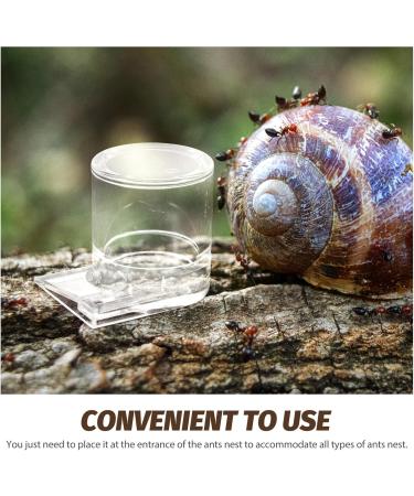 SEWOART Pet Water Feeder Ant Feeder Ant Watering Station Ant Water Feeder Ant Waterer Plastic Transparent - Buy Online on GoSupps.com