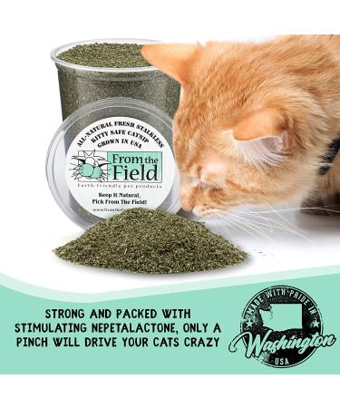 From The Field Catnip Kitty Safe Stalkless Tub 10 oz - Premium Organic Catnip for Endless Fun - Buy Online on GoSupps.com