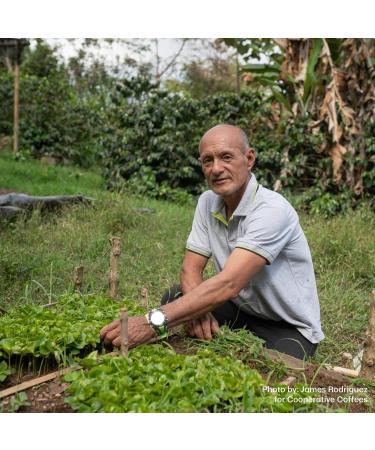 Equator Coffee Roasters North Star Espresso Blend Sweet Cocoa & Dark Cherry Velvety Finish Ethically Sourced Organic Canadian Roast Celestial Brilliance in Every Sip North Star Espresso 908 g (Pack of 1) - Buy Online on GoSupps.com