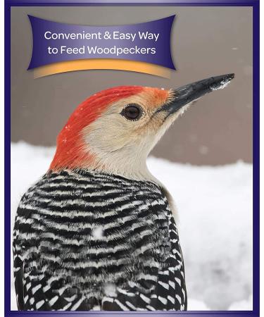 Kaytee Woodpecker Bird Seed Bar 11 oz - Nutritious Treat for Woodpecker Species - Buy Online on GoSupps.com