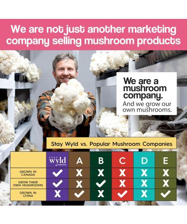 Stay Wyld Organics - Lion s Mane Mushroom Supplement Canadian Grown Lions Mane Mushroom Capsules Supplements for Focus & Clarity Natural Memory Support Organic Mushrooms 90 Capsules Pouch - Buy Online on GoSupps.com