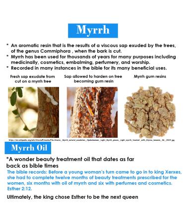 Queen Esther Myrrh Beauty Face Oil | Radiant Skin with Myrrh Rosehip Argan Seabuckthorn & Pomegranate Seed - 1.0 Fl Oz - Buy Online on GoSupps.com