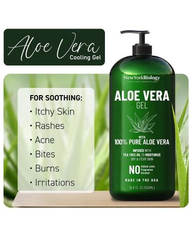 New York Biology Dead Sea Mud Mask with Aloe Vera Gel - Spa Quality Pore Reducer for Acne, Blackheads & Oily Skin - Buy Online on GoSupps.com