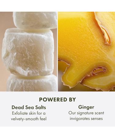 Origins Ginger Smoothing Body Scrub | Smooths & Softens | With Ginger & Dead Sea Salts 21.2 Ounce - Buy Online on GoSupps.com