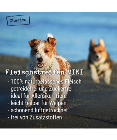 Meat Strips Mini Dogeleckerli - 100% Wild Meat Snacks for Small Dogs | 70g Hypoallergenic & Grain-Free Dried Wild Chest Stripes - Buy Online on GoSupps.com