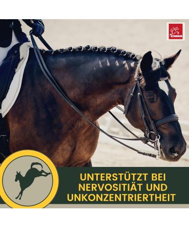 Magnesium Horse Calming Paste 3x30ml | Relax & Reduce Stress for Horses | High-Dose L-Tryptophan & Magnesium for Nervous Horses - Buy Online on GoSupps.com