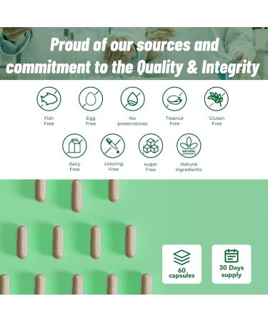 Kidney Cleanse & Bladder Support Supplement for Men & Women 1450mg with Chanca Piedra Cranberry Astragalus - Detox for Urinary Tract Health & Kidney Function - 60 Vegan Capsules 60 Count (Pack of 1) - Buy Online on GoSupps.com