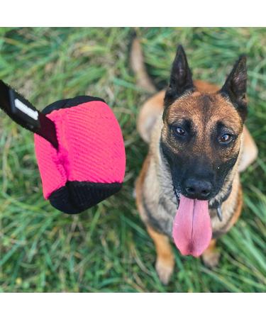 Dingo Gear Training Toy Ball 9cm - Black-Rosa with 65cm Handle | French Nylcott Material for IGP Obedience & Apport Training | Ideal Small Dog Toy - Buy Online on GoSupps.com