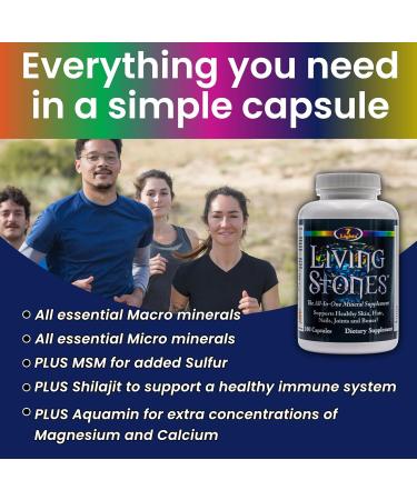 Living Stones Complete Mineral Supplement with Zinc Calcium Magnesium Selenium Trace Minerals No Added Iron with MSM (Organic Sulfur) and Shilajit Premium Absorption (30-Day Supply - 180 Caps) - Buy Online on GoSupps.com