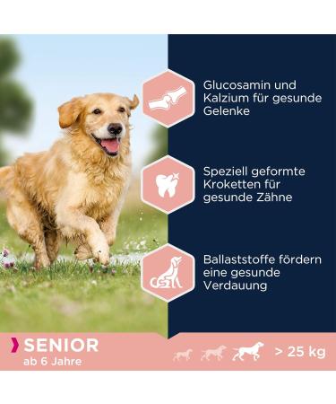 Eukanuba Lamb & Rice Dry Dog Food for Large Senior Breeds - 2.5 kg Pack | Premium Nutrition - Buy Online on GoSupps.com