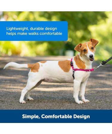 PetSafe Easy Walk Harness | No-Pull Adjustable Fit for Dogs | Includes 1.8m Lead | Black/Beige | Large/Medium - Buy Online on GoSupps.com