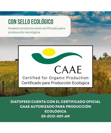 ECO Tierra de Diatomeas Micronised 1kg 100% Natural and Eco-Friendly Food Additive E551c Non-Calcinated High Purity Suitable for Spray - Buy Online on GoSupps.com