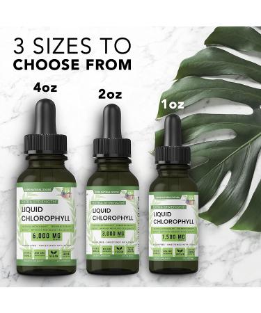 Premium All Natural Chlorophyll Drops for Water - Internal Deodorant, Energy Booster & Immune Support - 1oz by Super Natural Goods - Buy Online on GoSupps.com