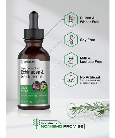Echinacea Goldenseal Liquid Extract - 2 fl oz Alcohol Free Tincture | Vegetarian, Non-GMO, Gluten Free | Horbaach - Buy Online on GoSupps.com