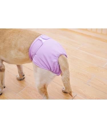 Petmia Washable Dog Diapers | Hygiene Underpants for Dogs in Heat | 5 Sizes XS to XL | Purple (M: 40-55cm) - Buy Online on GoSupps.com