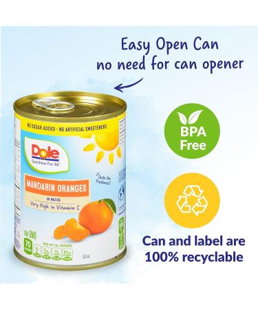 Dole Canned Fruit Mandarin Oranges in Water Non-GMO No Sugar Added & No Artificial Sweeteners 540 ml 12 Count Mandarin Oranges 540ml - Buy Online on GoSupps.com