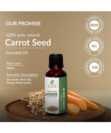 Sheer Essence Carrot Seed Essential Oil (Undiluted & Uncut - 100% Pure Daucus Carota L.) - 33.8oz Aluminium Bottle - Steam Distilled Therapeutic Grade Excellent For Skin Hair Aromatherapy and More! - Buy Online on GoSupps.com