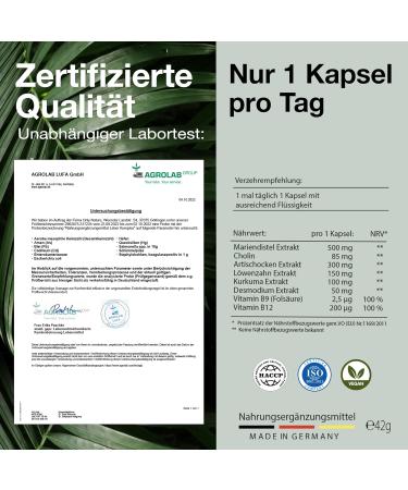 High-Dose Liver Capsules - 120 Natural & Vegan Capsules with Milk Thistle Choline Artichoke - Laboratory Tested & Detox Winner - Made in Germany - Buy Online on GoSupps.com