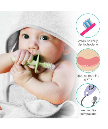 ZoLi Chubby Gummy teether | 2 Pack Baby Teething Relief - Blush/Grey BPA Free Teething Stick - Teething Toy - Buy Online on GoSupps.com