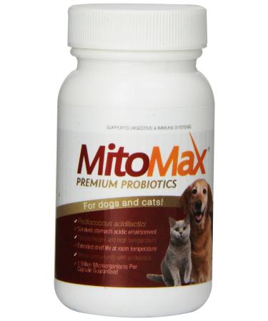 Imagilin Technology, LLC MitoMax-Premium probiotics for Dogs and Cats, 40 Capsules per Bottle