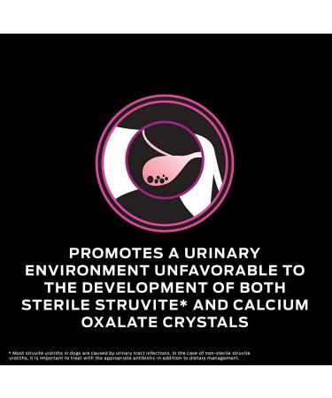 Purina Pro Plan Veterinary Diets UR Urinary Ox/St Canine Formula Wet Dog Food - 12 Pack - Buy Online on GoSupps.com