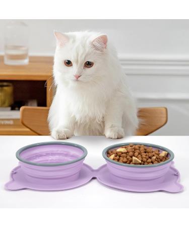 Buy 2-in-1 Foldable Silicone Dog Bowl - Slow Feeding Water & Travel Bowl for Dogs & Cats - Fressnapf - Purple - Buy Online on GoSupps.com