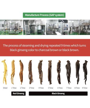 GeumHeuk Korean Black Ginseng Extract EveryGin (10mL X 30 Pouch) - Premium Quality Ginseng. Boost Immunity and Promote Enhance Immunity, Mental Performance, Stamina, Energy Health - Buy Online on GoSupps.com