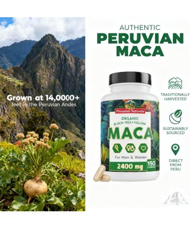 Organic Maca Root Capsules for Women & Men 2400mg per Serving - 150 Pills Black Red Yellow Maca Supplement - Gelatinized Macaroot Non-GMO Vegan by Peruvian Naturals 150 Count (Pack of 1) - Buy Online on GoSupps.com