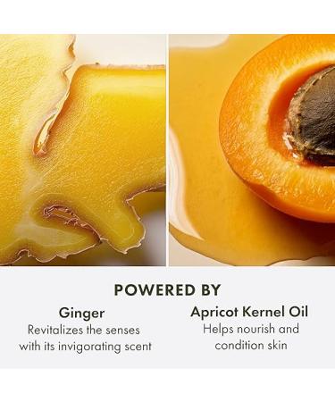 Origins Ginger Souffle and Trade Whipped Body Cream 6.7oz - Nourishing Skin Moisturizer - Buy Online on GoSupps.com