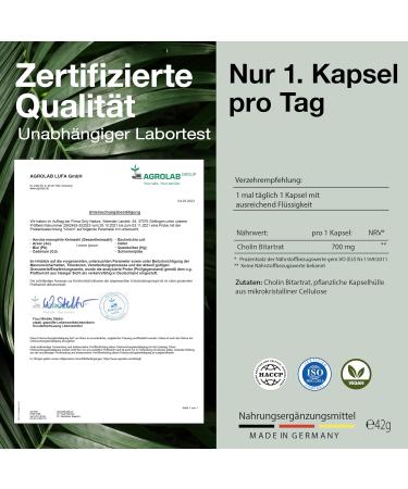 Cholin High Dose 700 mg - 120 Natural Liver Detox Capsules - Made in Germany Lab Tested Effective Choline Litartrate - Buy Online on GoSupps.com