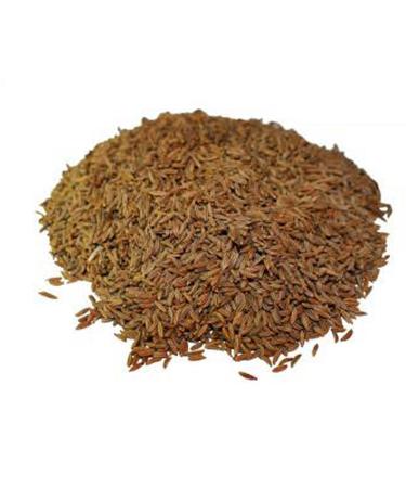 Caraway Whole Dried Seeds 100g The Spiceworks-Hereford Herbs & Spices - Buy Online on GoSupps.com