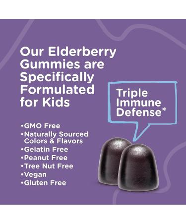 Sugar Free Sambucus Black Elderberry Gummies for Kids - Immune Booster with Vitamin C & Zinc - Vegan & Gluten Free - Berry Flavored Chewables - Buy Online on GoSupps.com